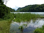 Alatsee-Ufer